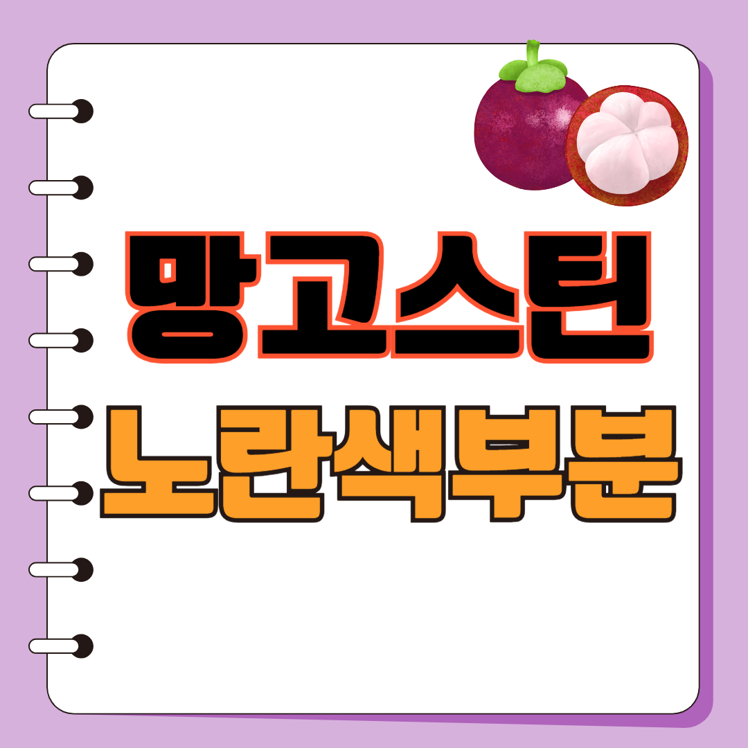 망고스틴 노란색