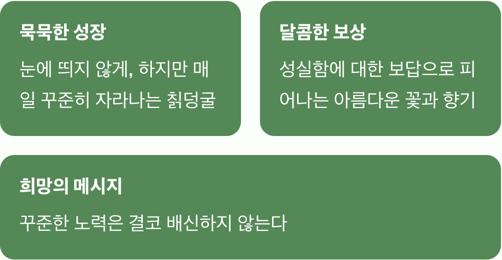 성실함이 피워낸 결실