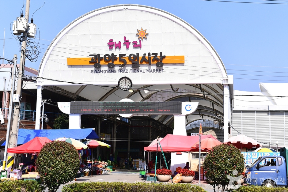 전남 5일장 일정표 전라남도 오일장 장날표 날짜 주소