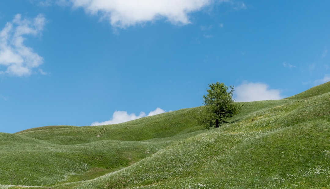Hill