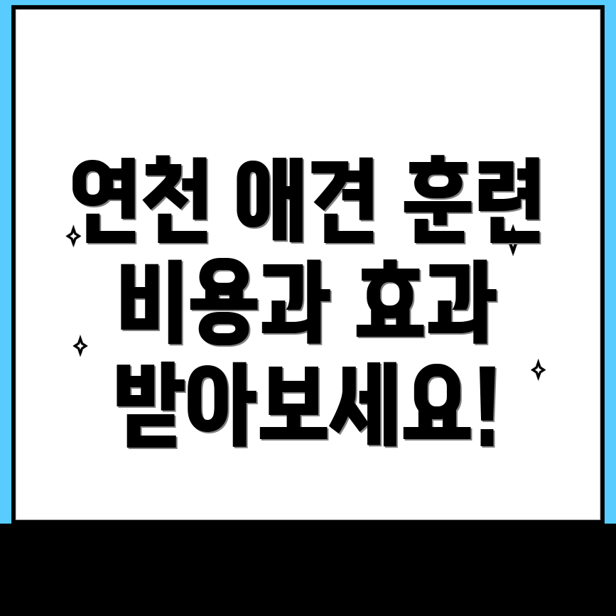 애견훈련소 비용