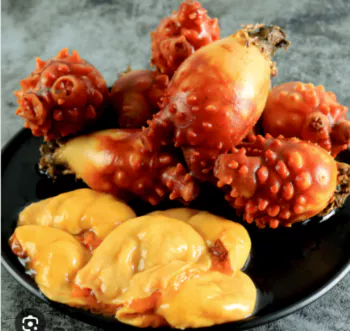 멍게2