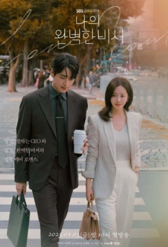 나의 완벽한 비서 드라마 포스터