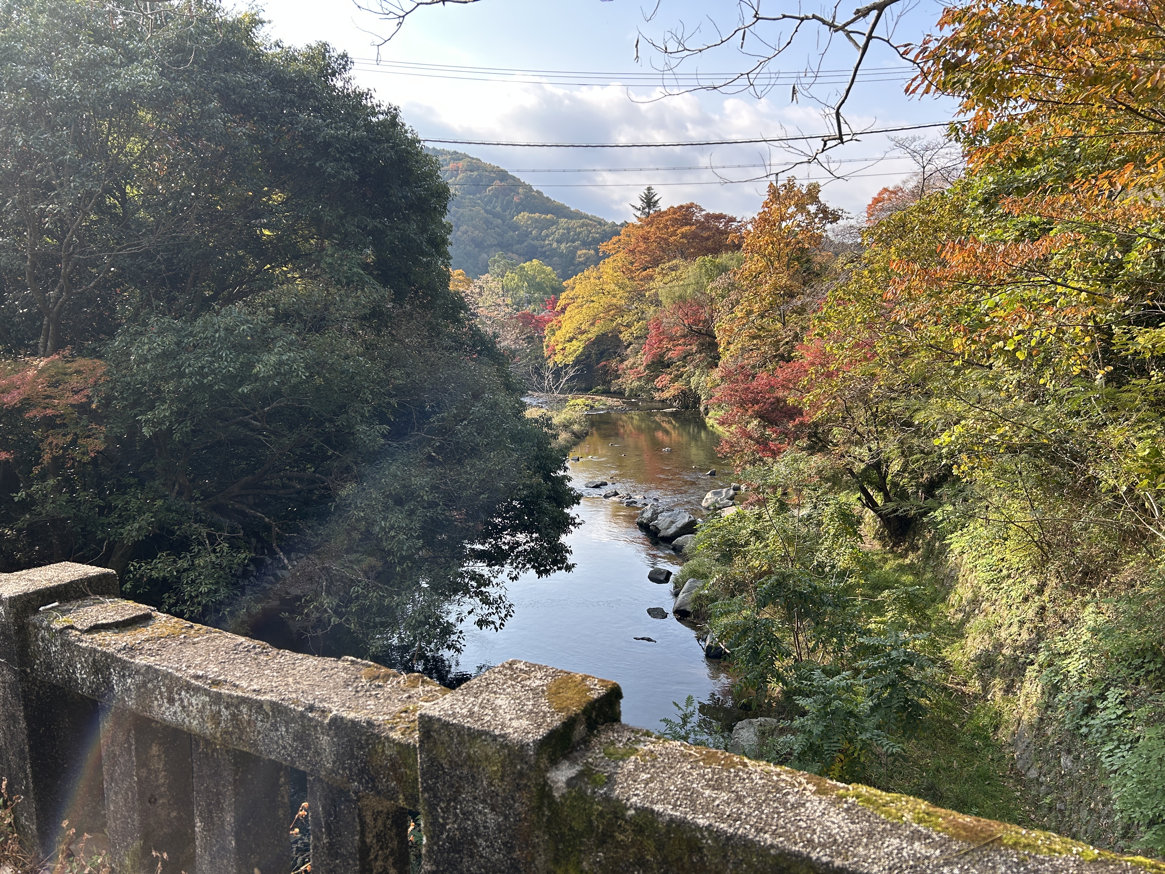 오사카 현지인도 간다! 교토 루리코인 가을단풍 명소 후기 관련사진