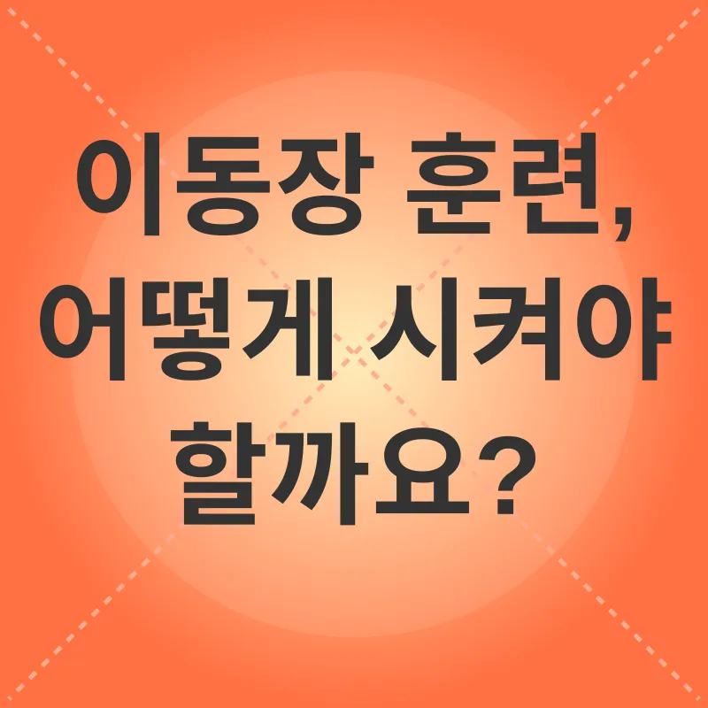 고양이 이동장 선택_3