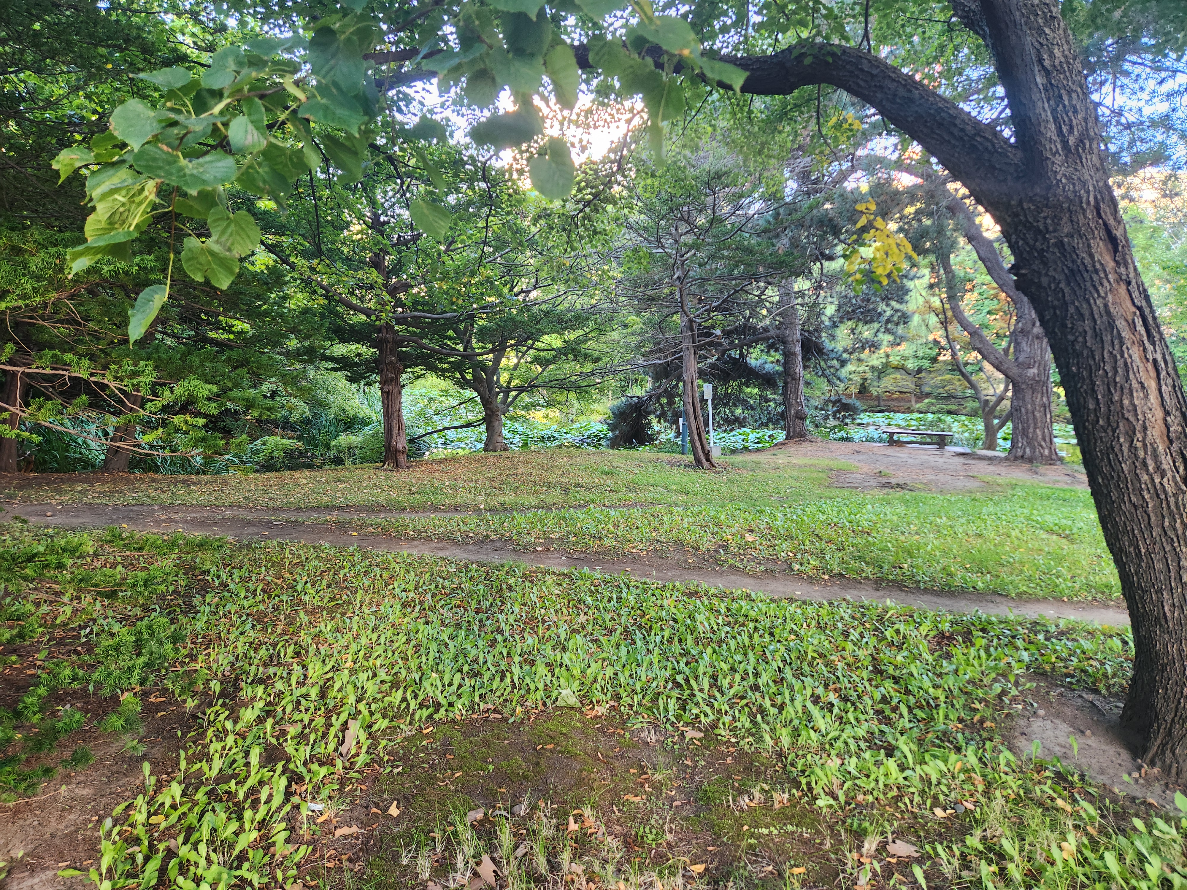 삿포로역 산도리아 - 2