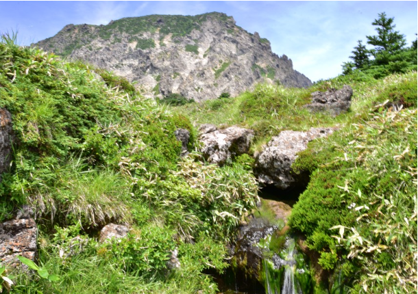 한라산-백록샘