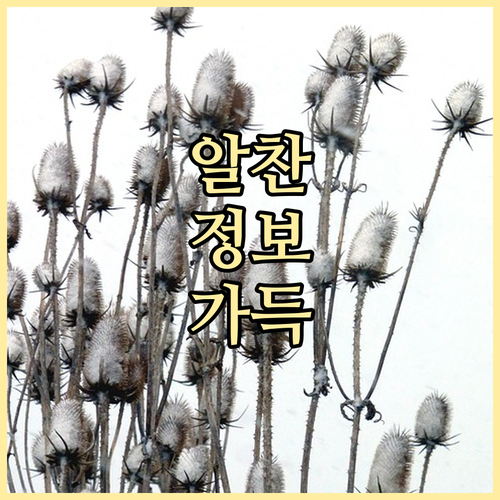 육아휴직급여 지급 지연 불안 해소! ..