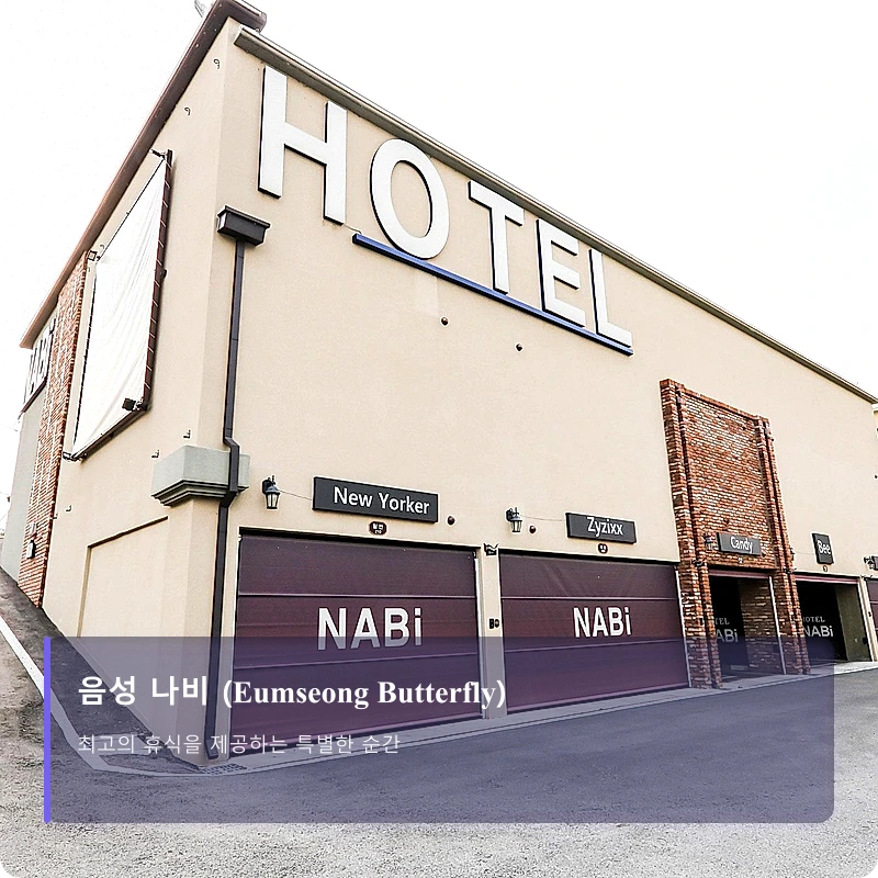 음성 나비 (Eumseong Butterfly)_5