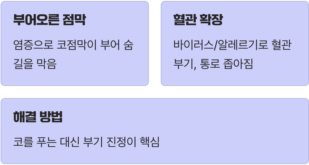 답답함의 진짜 이유, 코 점막의 ‘부기’