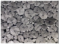 냉장고 냄새없애는 법