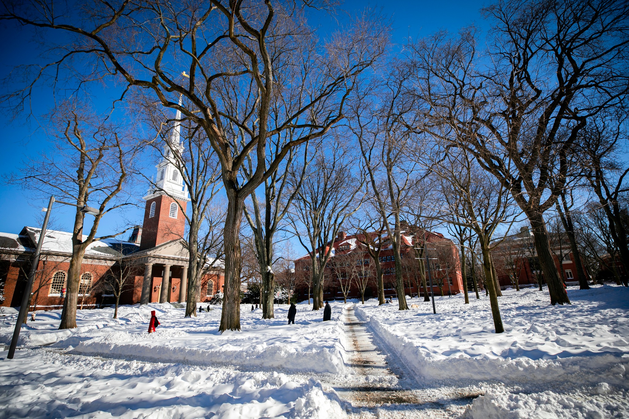 QS세계대학 하버드 HarvardUniversity 하버드야드 존하버드
