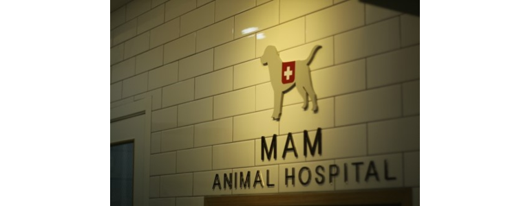 수원 영통구 동물병원