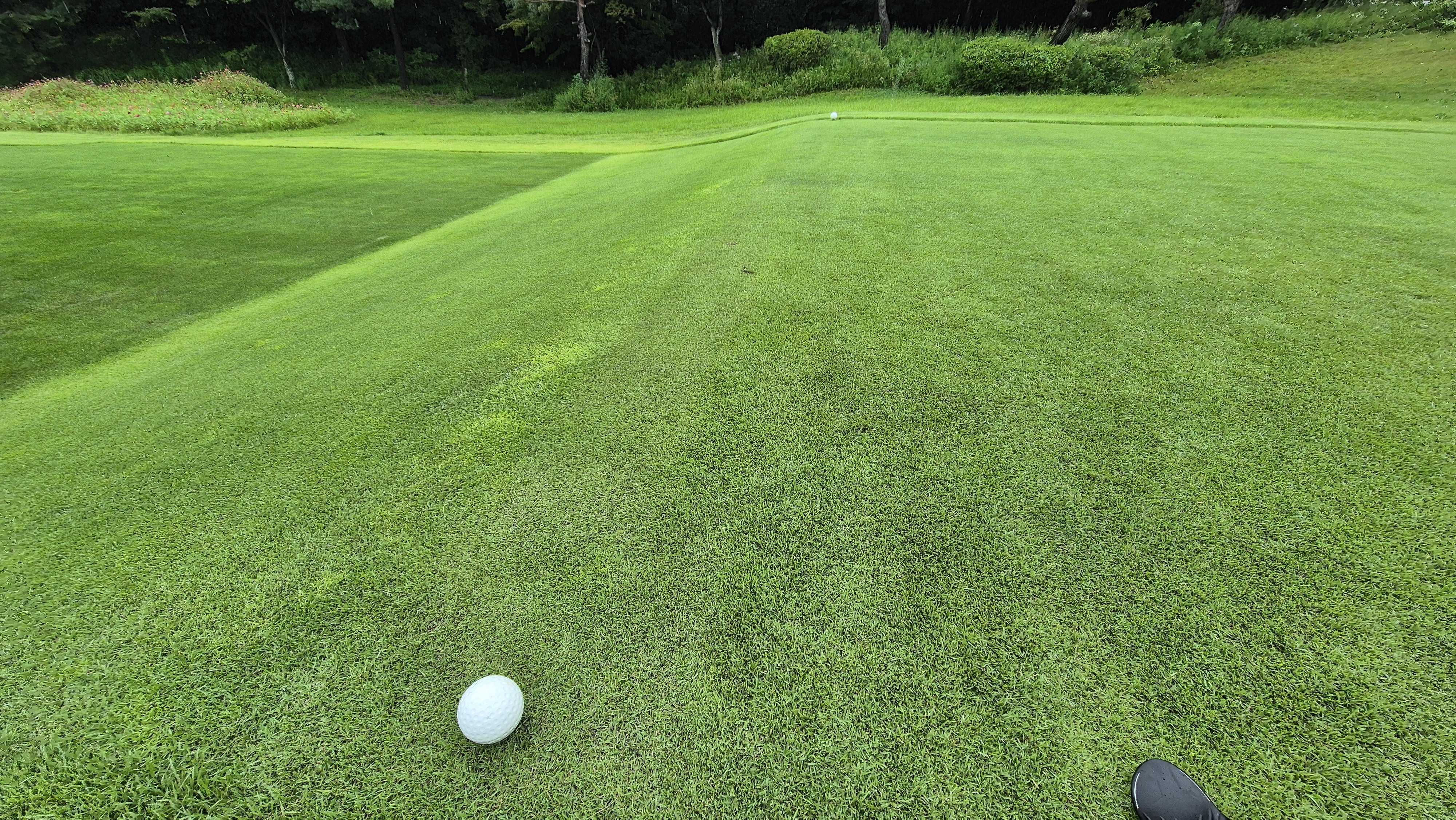 뉴서울cc 예술in-문화in 코스 라운드 후기