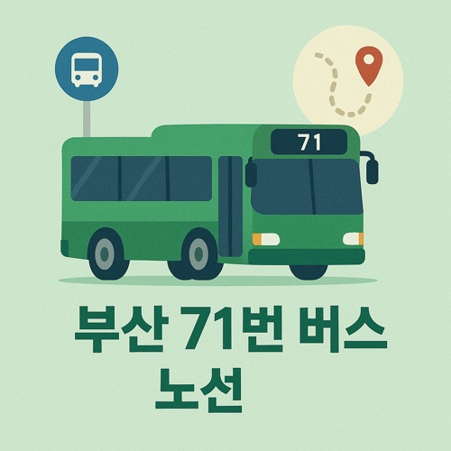 부산 71번 버스 노선 섬네일