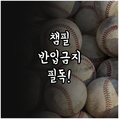 기아 챔피언스 필드 야구장 음식 반입..