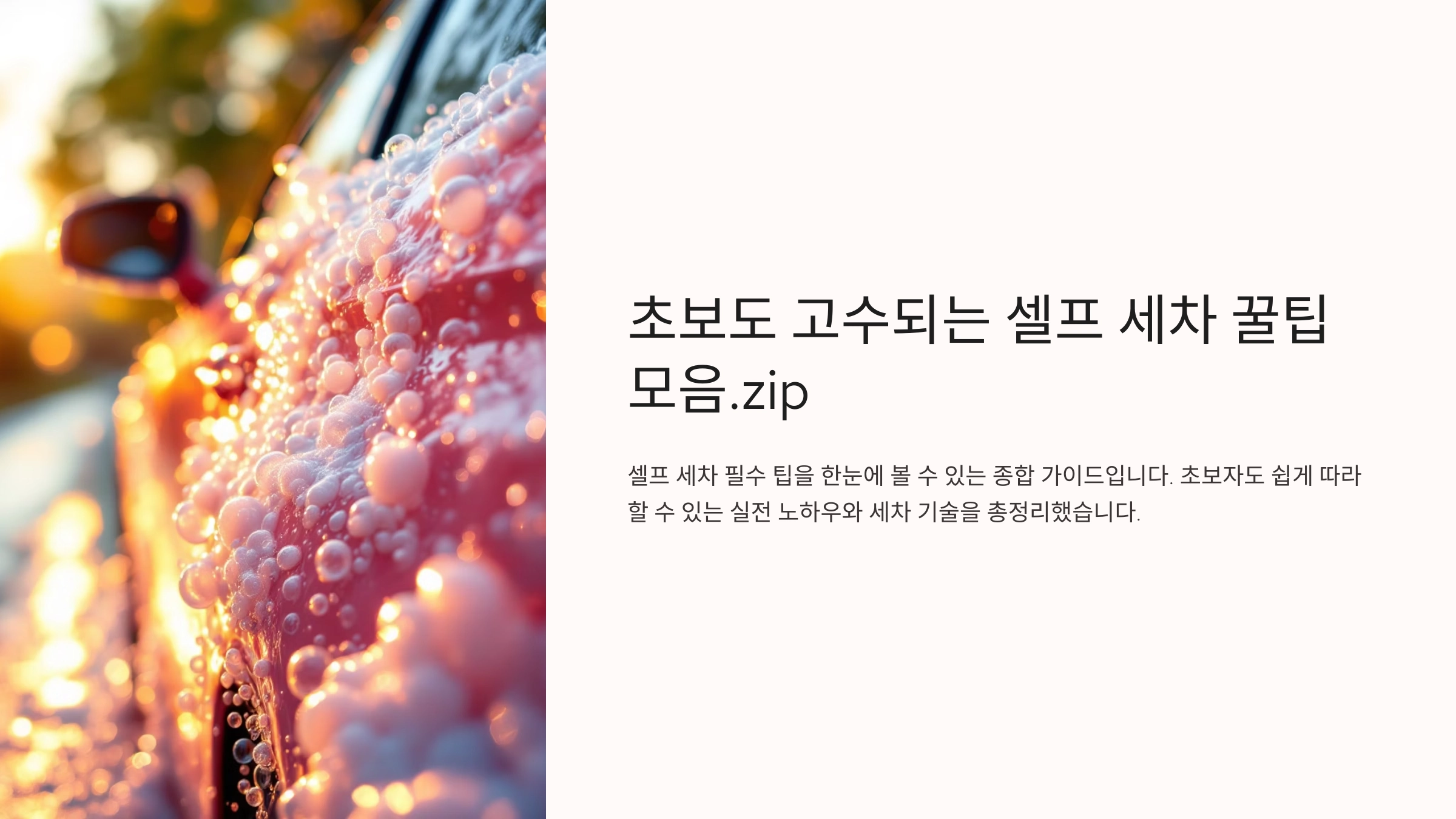 초보도 고수되는 셀프 세차 꿀팁 모음.zip
