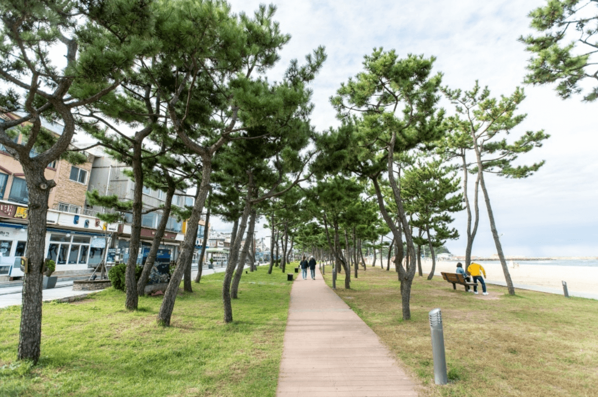 낙산 해수욕장 (양양)