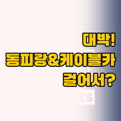 동피랑 벽화마을에서 통영 케이블카까지..