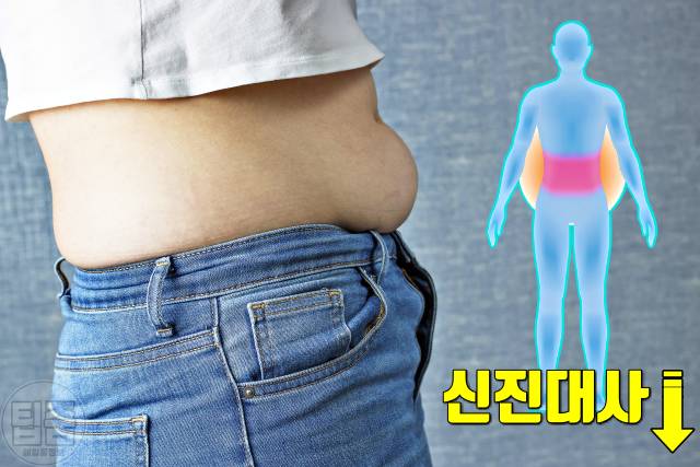 부위별 살찌는 이유 승마살 팔뚝살 뱃살 옆구리살 등살