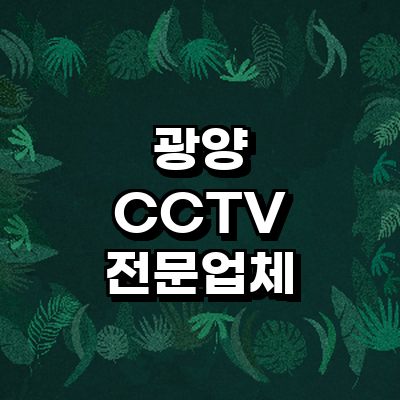 광양시 cctv