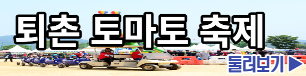 퇴촌 토마토 축제 둘러보기