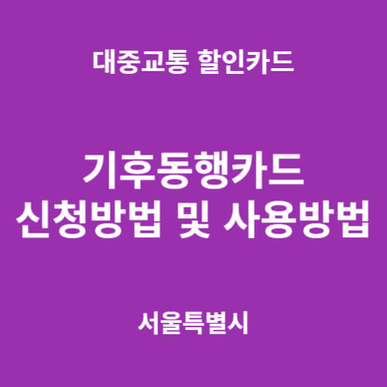 기후동행카드