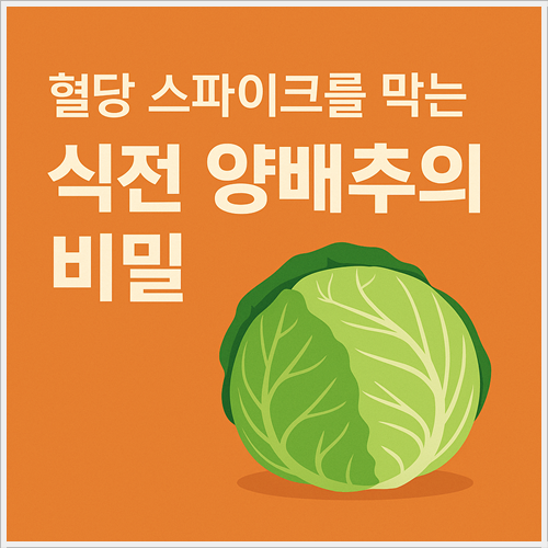 혈당스파이크 막는 양배추