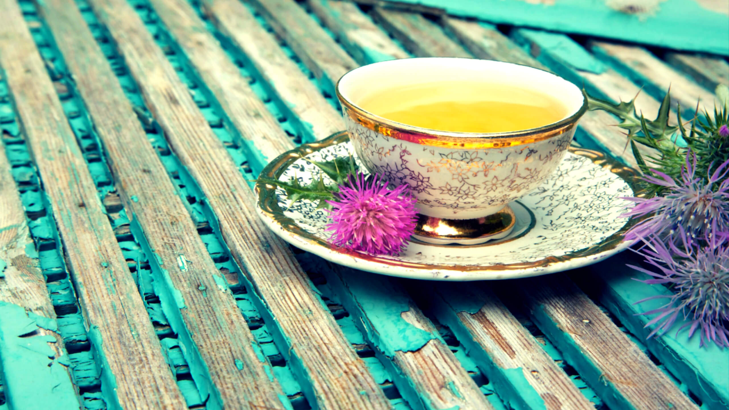 간해독에 좋은 밀크시슬