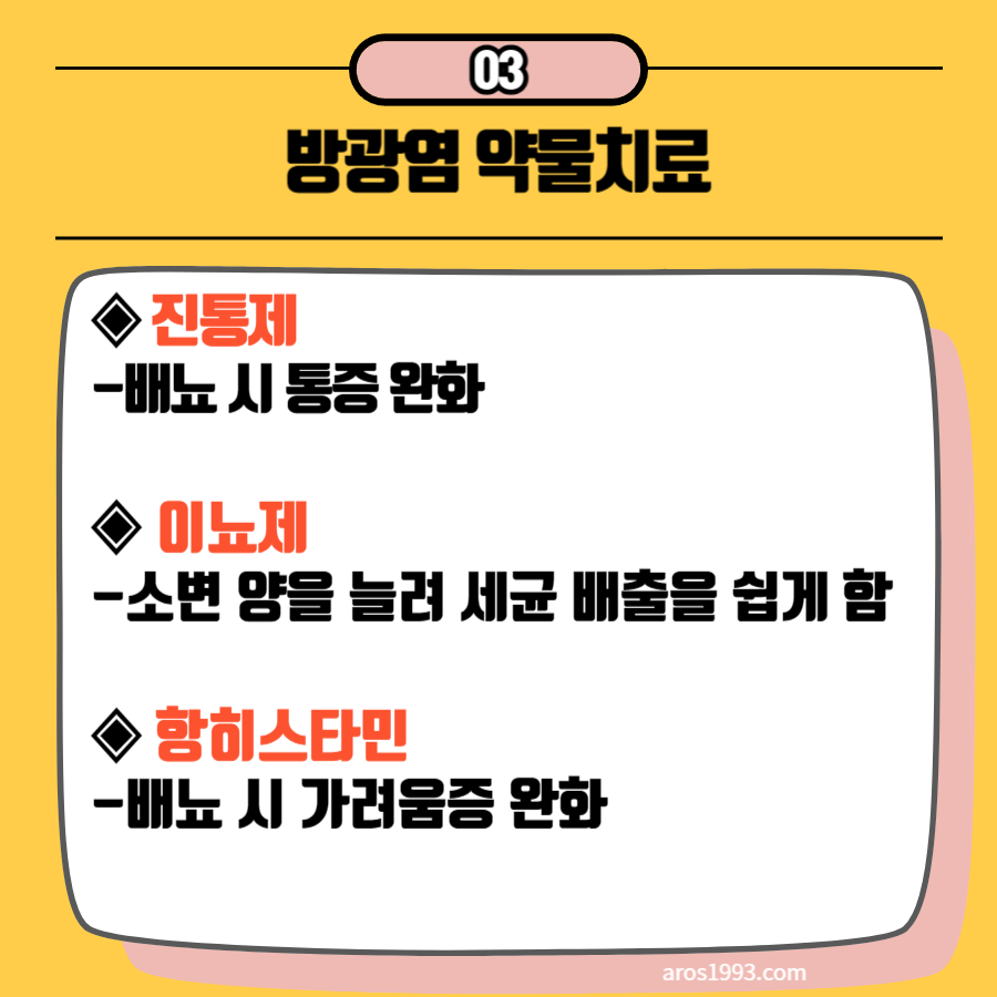 방광염 증상 및 치료방법(원인, 자연치료)