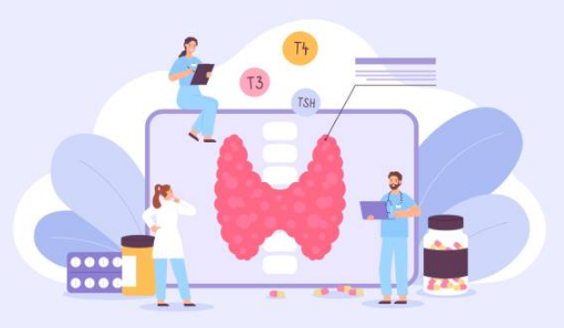 갑상선 기능 저하증 증상&amp;#44; 좋은음식&amp;#44; 수치 총정리 (2024ver)