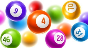 대구 로또 1등 배출 판매점, 2회 이상 1등 배출