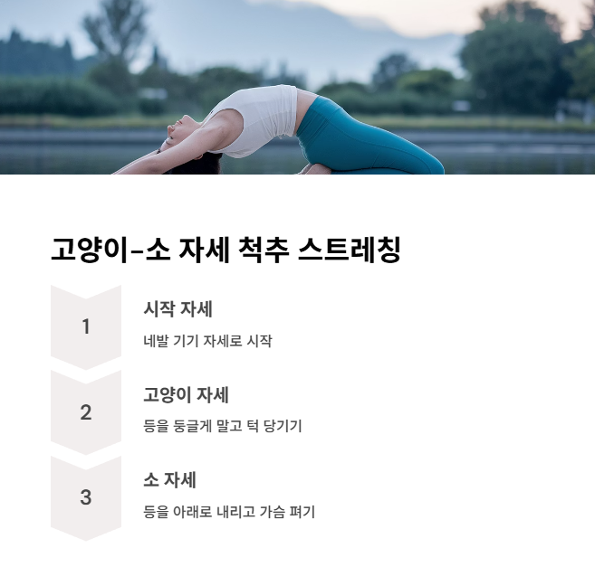 고양이-소 자세를 활용한 척추 유연성 스트레칭