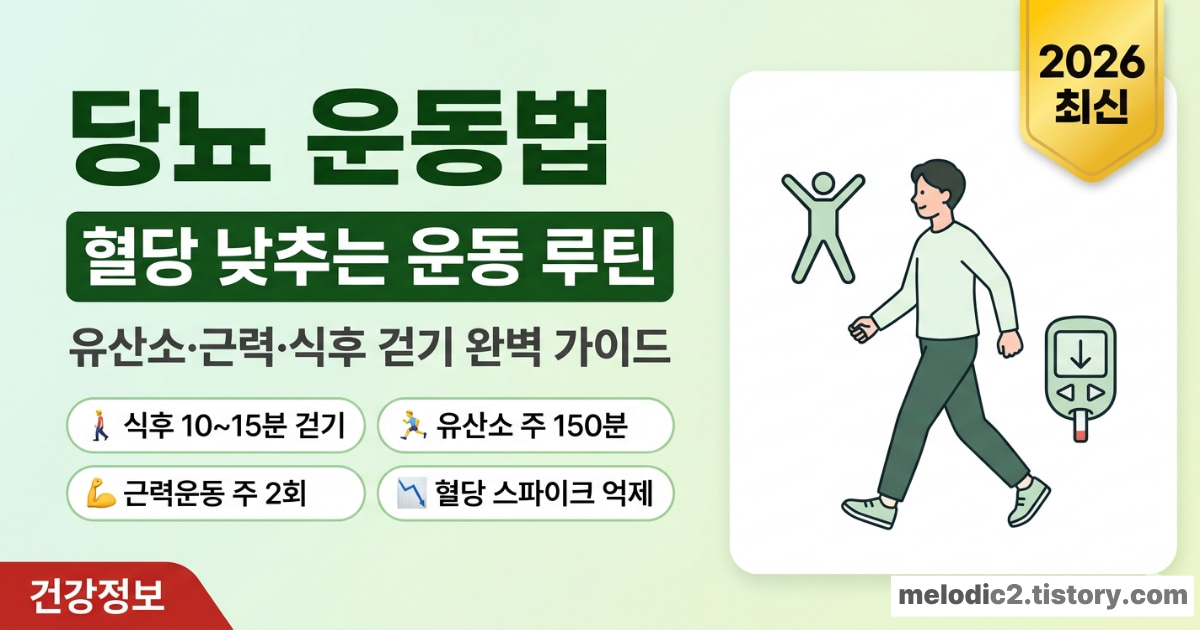 당뇨 운동법 총정리 &mdash; 혈당 낮추는 유산소&middot;근력&middot;식후 걷기 가이드