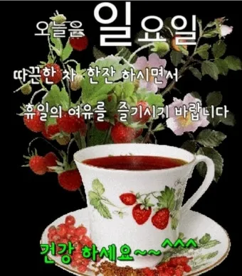 아침 인사 문자 날씨 변화에 맞춘 안부 문장 하루를 여는 표현_23