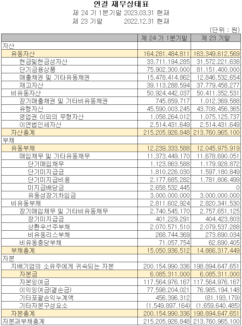 나노신소재 - 재무상태표