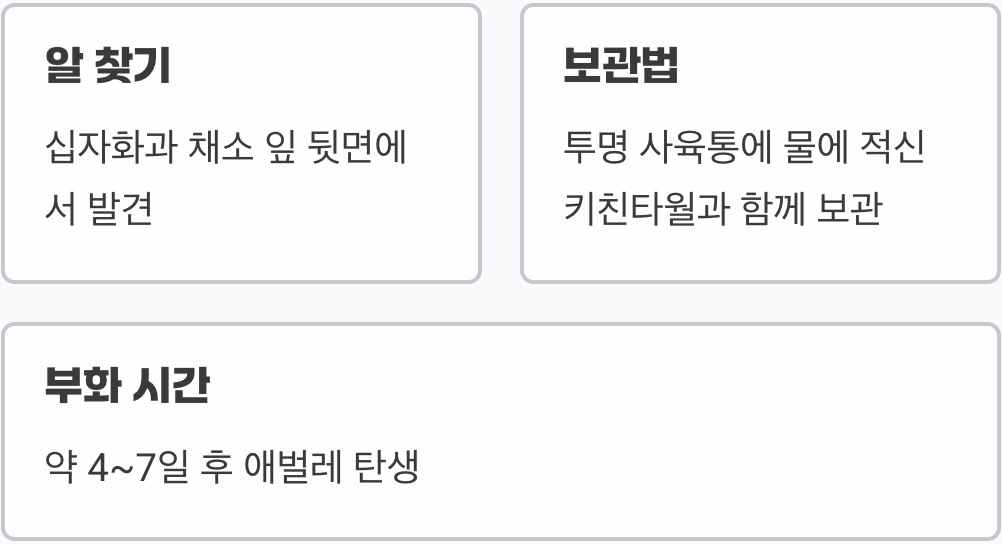 모든 이야기의 시작, 노란 옥수수콘 알