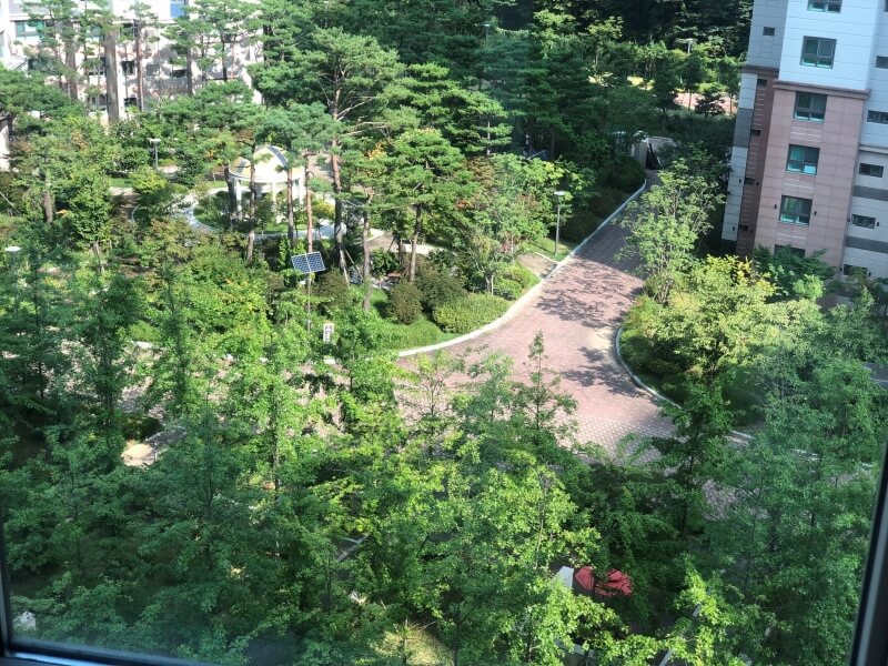 휴식-취할수있는-휴양림