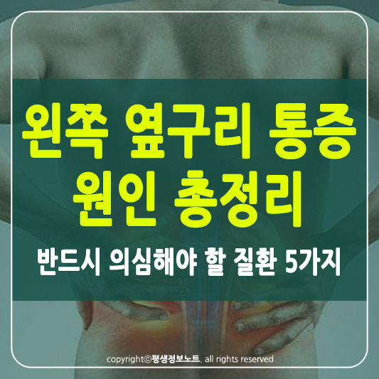 왼쪽 옆구리 통증 썸네일
