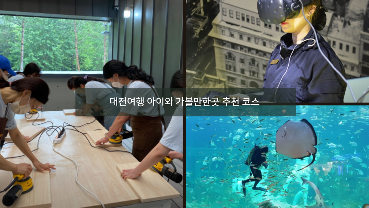 국내 대전여행 아이와 가볼만한곳 추천 코스 BEST 07 실내 포함