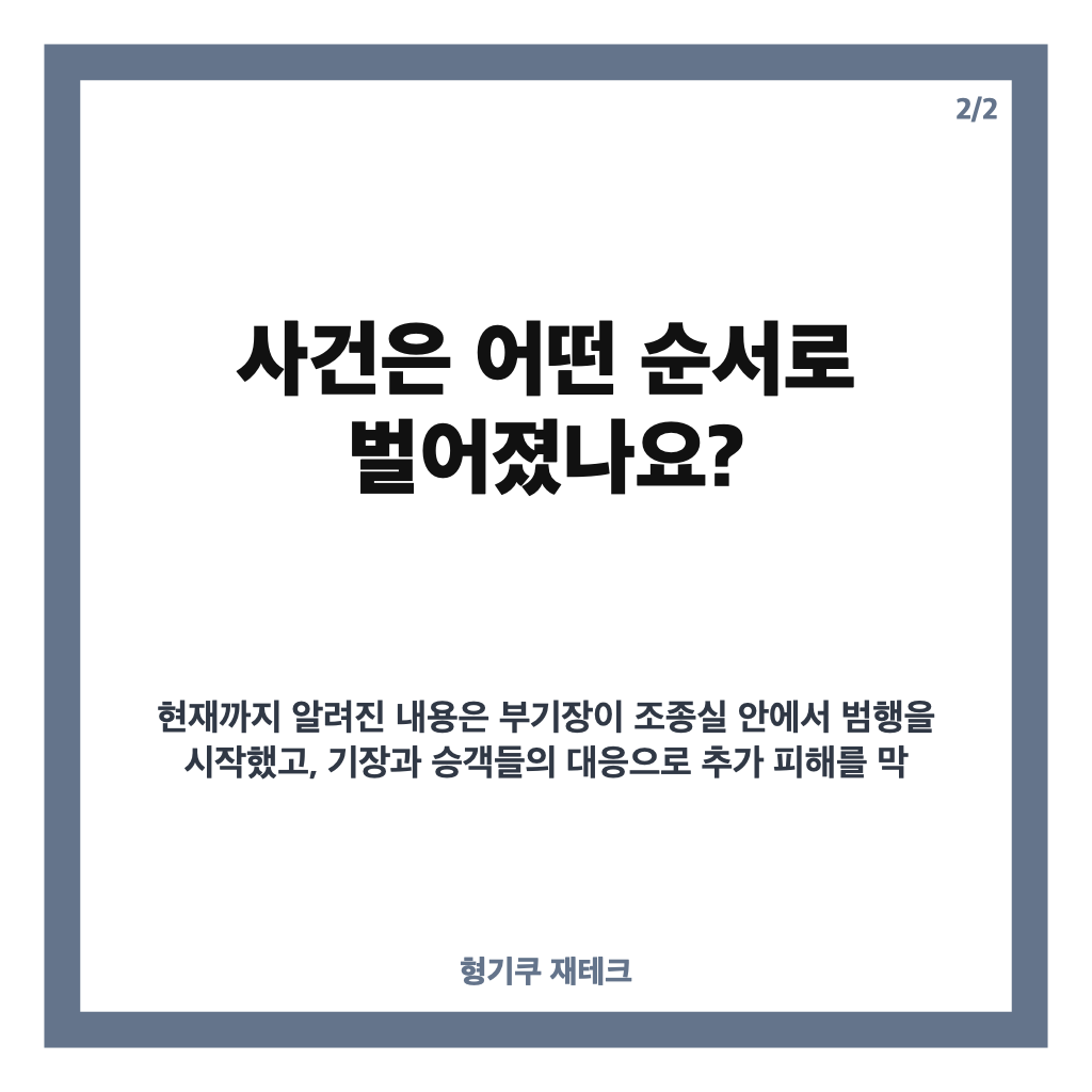 플라이 두바이 부기장 추락 시도 사건, 기장 공격부터 비상착륙까지 카드뉴스 3