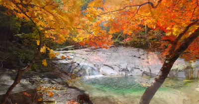출처 구글이미지 설악산 단풍