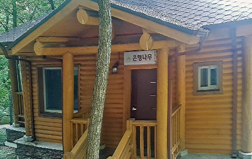 비슬산 자연휴양림 예약 카라반 물놀이 숲속의집 콘도