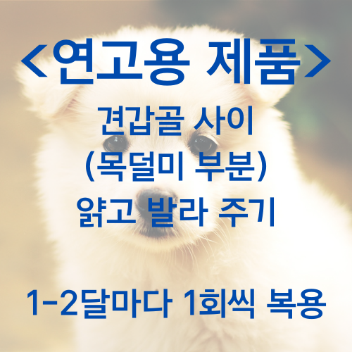 심장사상충약 연고 제품 사용법