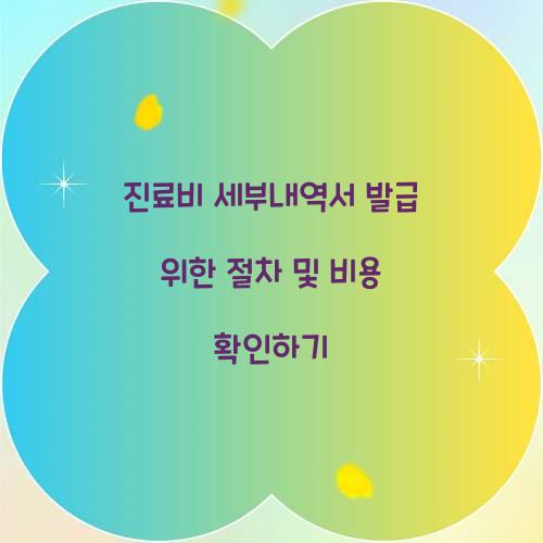 진료비 세부내역서 발급
