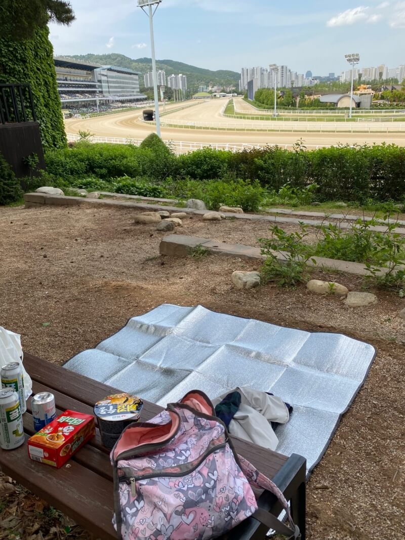경마공원-내부가-보이는-곳에-돗자리를-편-모습