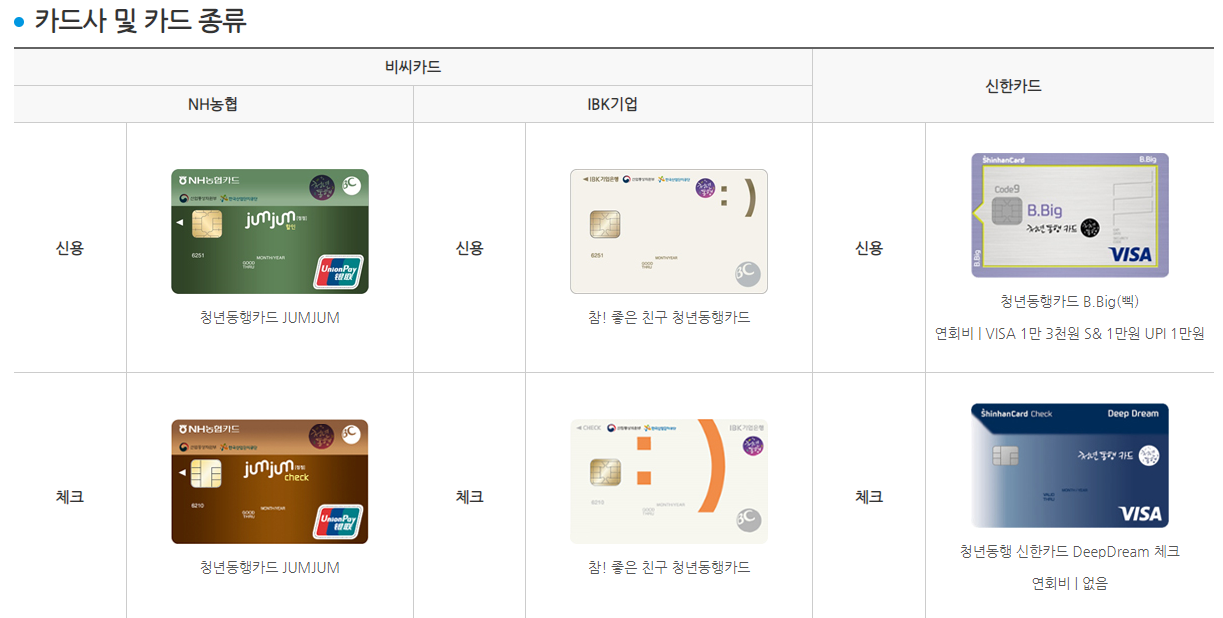 청년동행카드 발급카드