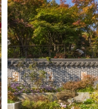 화담숲 예약 화담숲 벚꽃