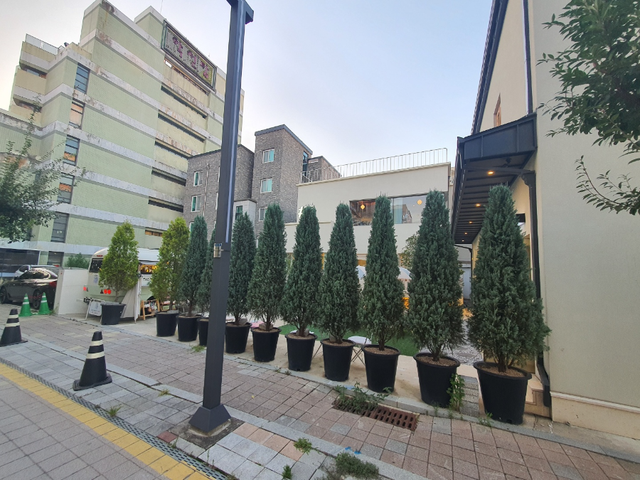 태그 원 전경