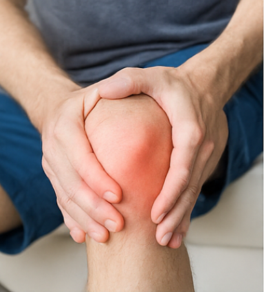 콘드로이친 효능